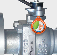APV-Australian Pipeline Valve - APVAPV Valve Supplier Float and Trunnion Ball Check Gate Globe Plug