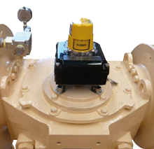 APV-Australian Pipeline Valve - APVAPV Valve Supplier Float and Trunnion Ball Check Gate Globe Plug