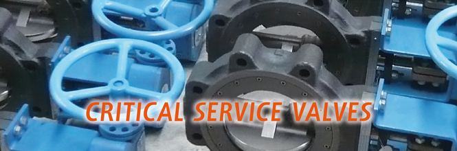 APV - Australian Pipeline Valve