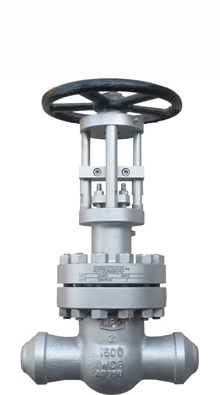 APV-Australian Pipeline Valve - APVAPV Valve Supplier Float and Trunnion Ball Check Gate Globe Plug