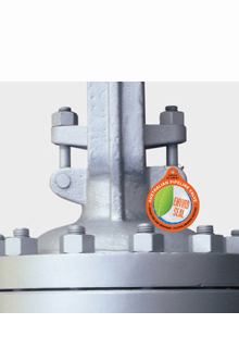 APV-Australian Pipeline Valve - APVAPV Valve Supplier Float and Trunnion Ball Check Gate Globe Plug